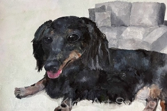 14.【佳作】「ダックスとふかふかのソファー」岩堀鈴小4