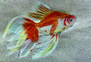 Web全国ポストカードデザイン大賞 小学生部門 大賞 入選 中高生部門 入選 一般部門 入選 ワールドキッズ絵画 三重 サンシティ星川 あさけプラザ 桑名 四日市 鈴鹿 愛知 名古屋 絵画コンクール デッサン 水彩デッサン 絵画コンクール多数受賞