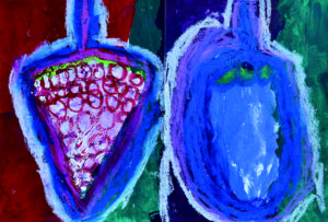 Web全国ポストカードデザイン大賞 小学生部門 大賞 入選 中高生部門 入選 一般部門 入選 ワールドキッズ絵画 三重 サンシティ星川 あさけプラザ 桑名 四日市 鈴鹿 愛知 名古屋 絵画コンクール デッサン 水彩デッサン 絵画コンクール多数受賞