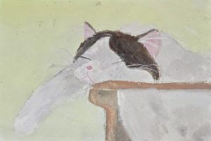 第19回全国こども猫のはがき絵コンクール ホッコリ賞 淡路市立中浜稔猫美術館 2月22日 こども絵画教室　ワールドキッズ絵画　三重　サンシティ星川　あさけプラザ　桑名　四日市　鈴鹿　愛知　名古屋　絵画コンクール　デッサン　水彩デッサン　絵画コンクール多数受賞