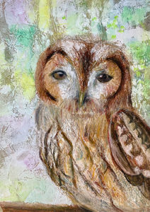 第50回全日本こども美術大賞展 団体賞 優秀賞 特選 入選 ワールドキッズ絵画　三重　サンシティ星川　あさけプラザ　桑名　四日市　鈴鹿　愛知　名古屋　絵画コンクール　デッサン　水彩デッサン　絵画コンクール多数受賞